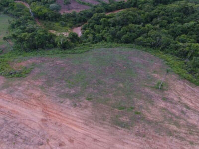 Imagem da notícia MPMS investiga desmatamento irregular em fazenda de Camapuã após supressão de vegetação nativa
